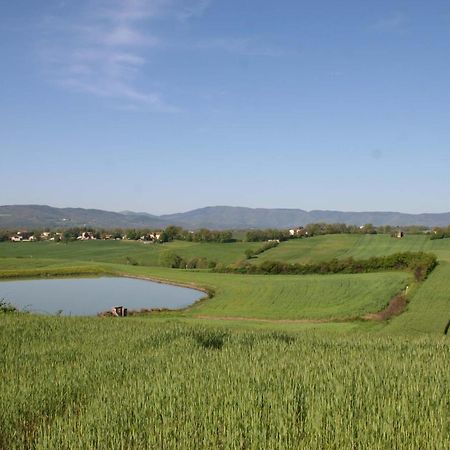 Il Nido Di Gabbiano ξενώνας Σκαρπερία Εξωτερικό φωτογραφία