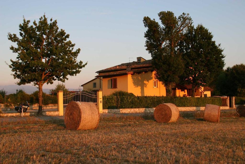 Il Nido Di Gabbiano ξενώνας Σκαρπερία Εξωτερικό φωτογραφία